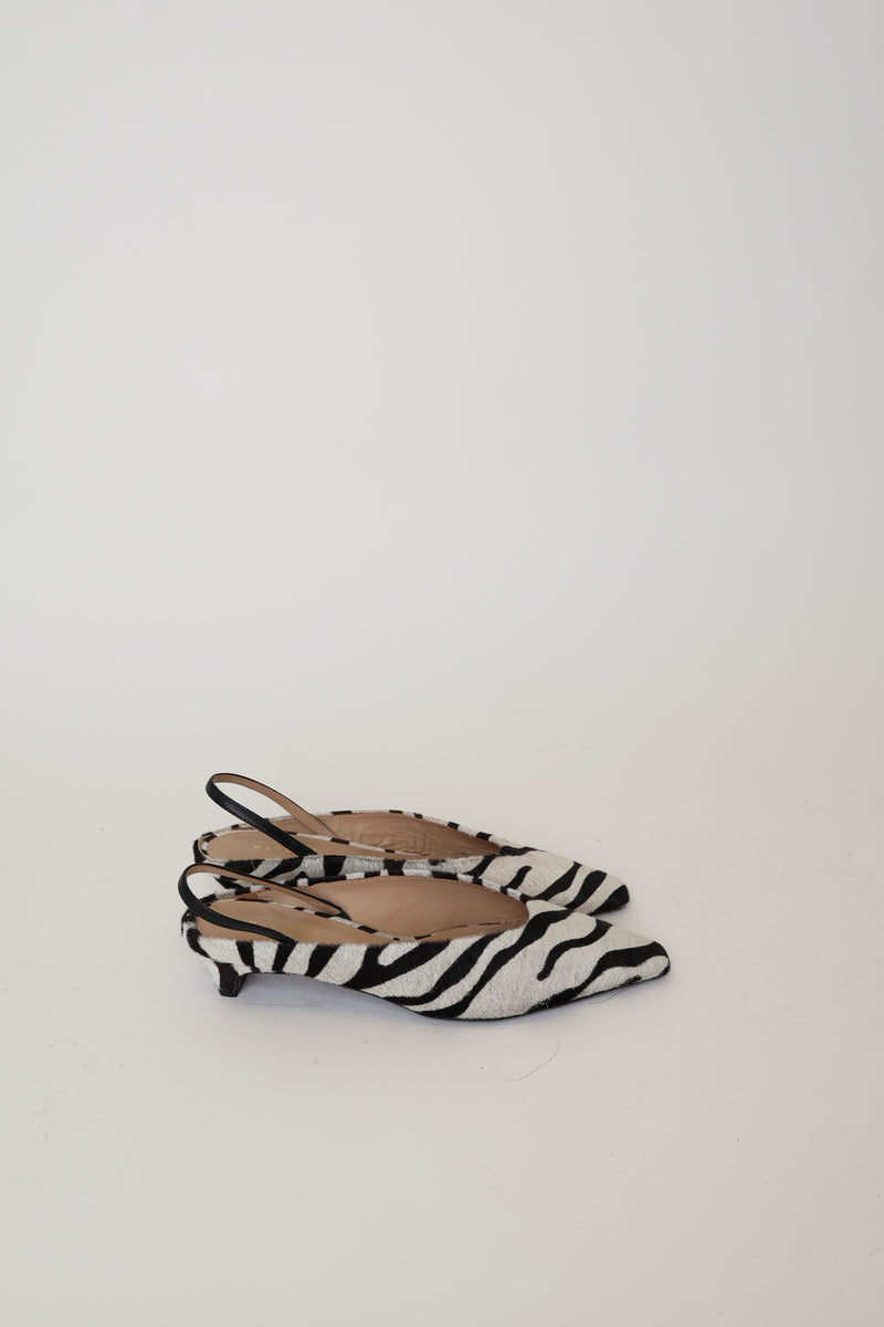 PR Sample Floresta Zebra 38