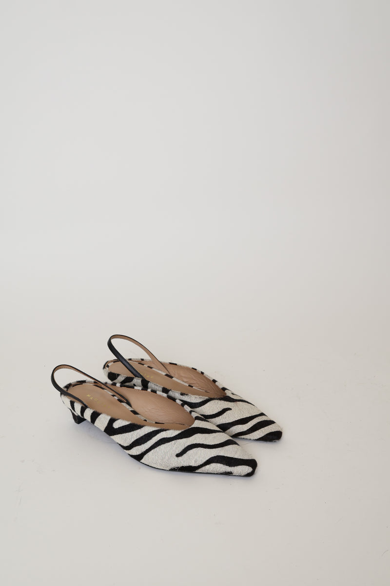 PR Sample Floresta Zebra 38