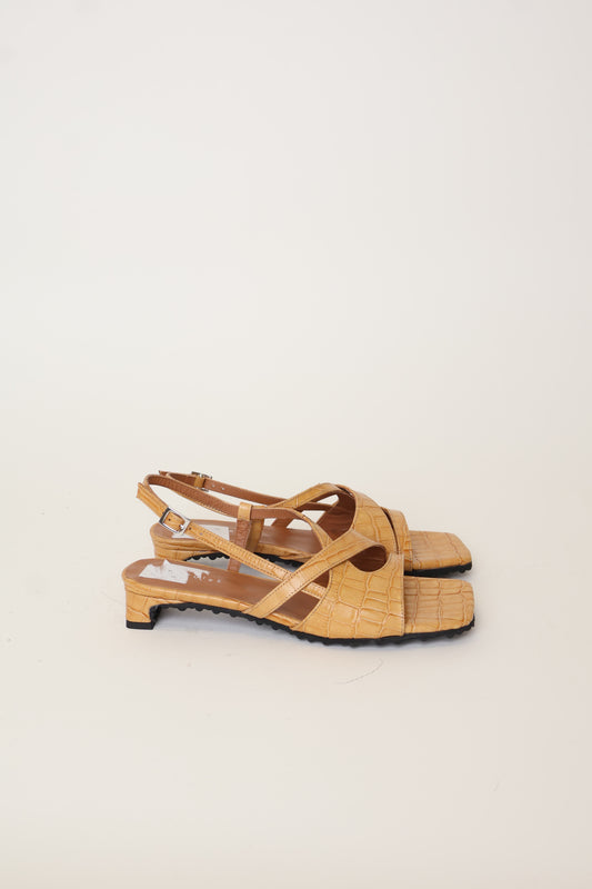 Sample Roda Dijon 38