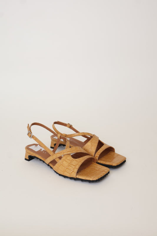 Sample Roda Dijon 38